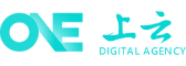 昌吉软件开发公司